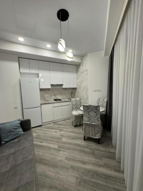 Niko's Modern flat Tbilisi!